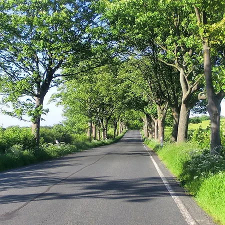 فندق Restaurant & Baumhaus Hagen *