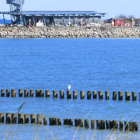 Отель Restaurant & Baumhaus Hagen *