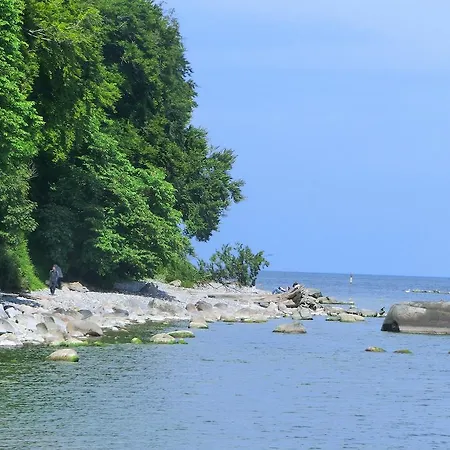 Отель Restaurant & Baumhaus Hagen