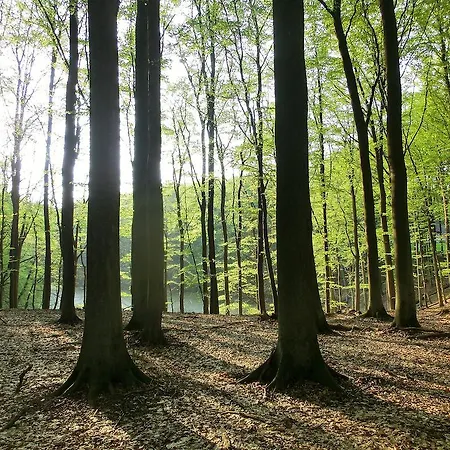 Restaurant & Baumhaus Hagen