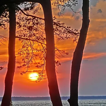 Restaurant & Baumhaus Hagen